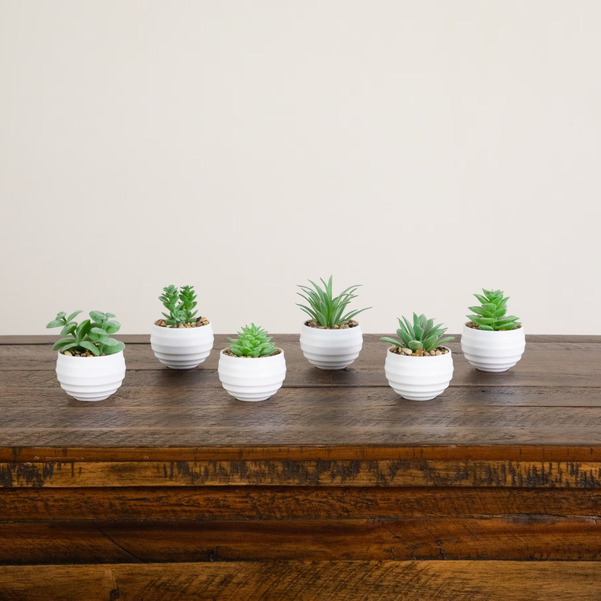 The Carmel Miniature Botanical Set in Matte Ceramic (Set of 6)