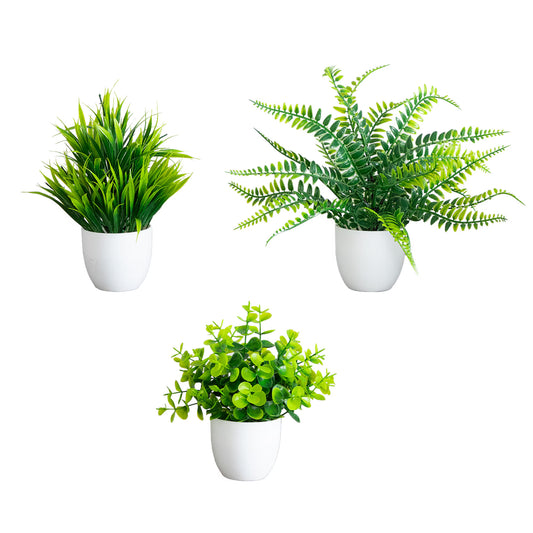 The Alpine Mixed Botanical Trio in Matte Vessels (Set of 3)