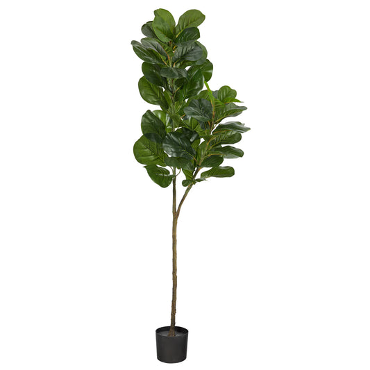 The Highland 4.5-Foot Multi-Stem Fiddle Leaf Fig