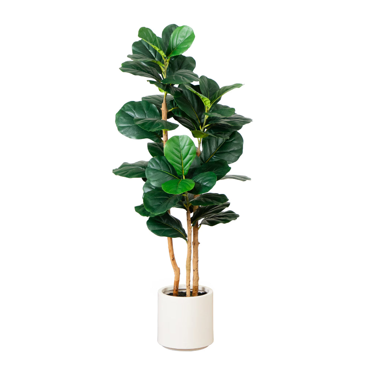 The Highland 4-Foot Sculptural Fiddle Leaf Tree