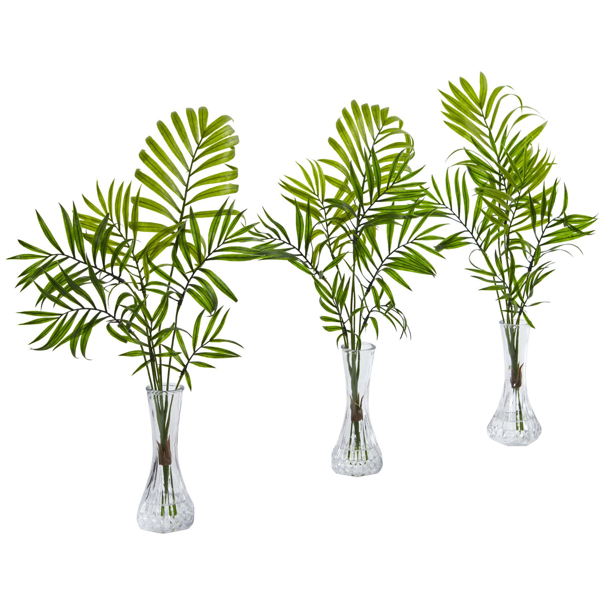 The Balboa 19" Coastal Fan Palm in Glass Cylinder (Set of 3)