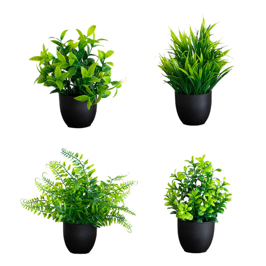 The Tribeca Modern Botanical Quartet in Matte Black (Set of 4)