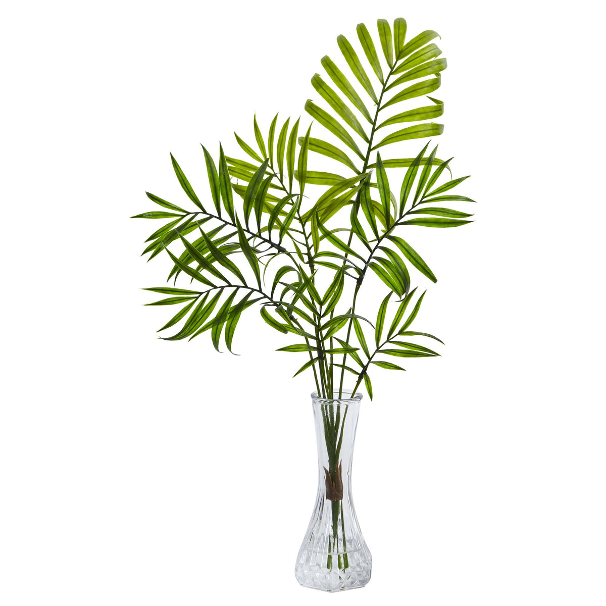 The Balboa 19" Coastal Fan Palm in Glass Cylinder (Set of 3)