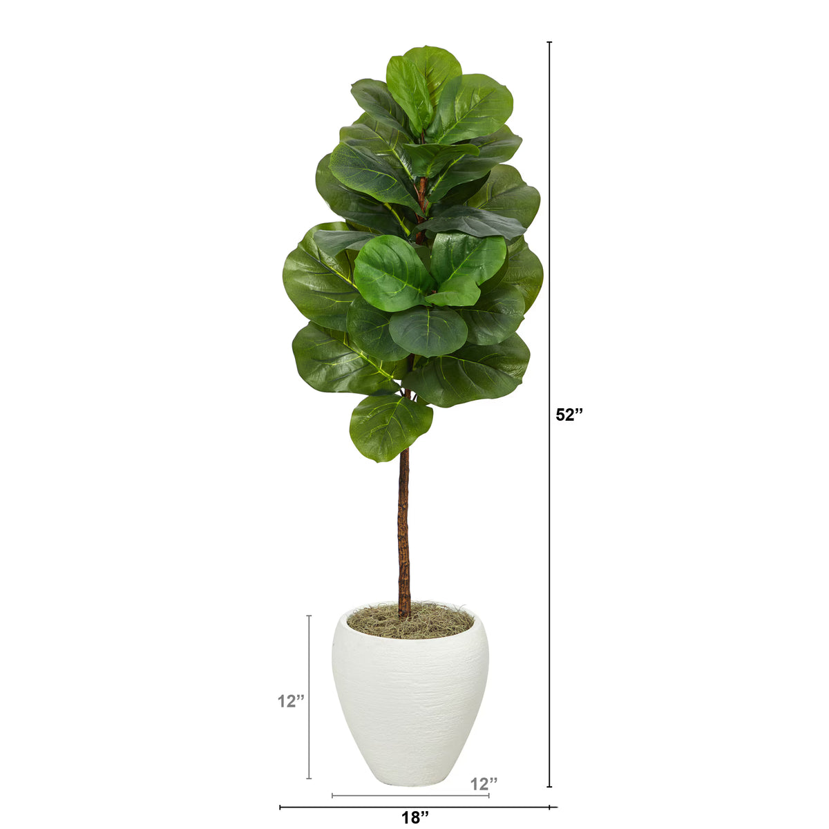 The Highland 52" Fiddle Leaf Fig with Modern White Vessel