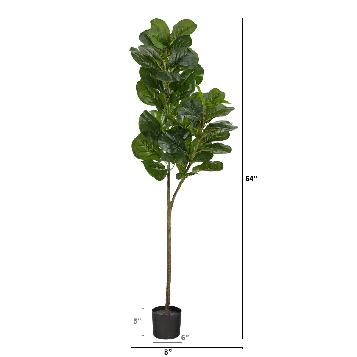 The Highland 4.5-Foot Multi-Stem Fiddle Leaf Fig