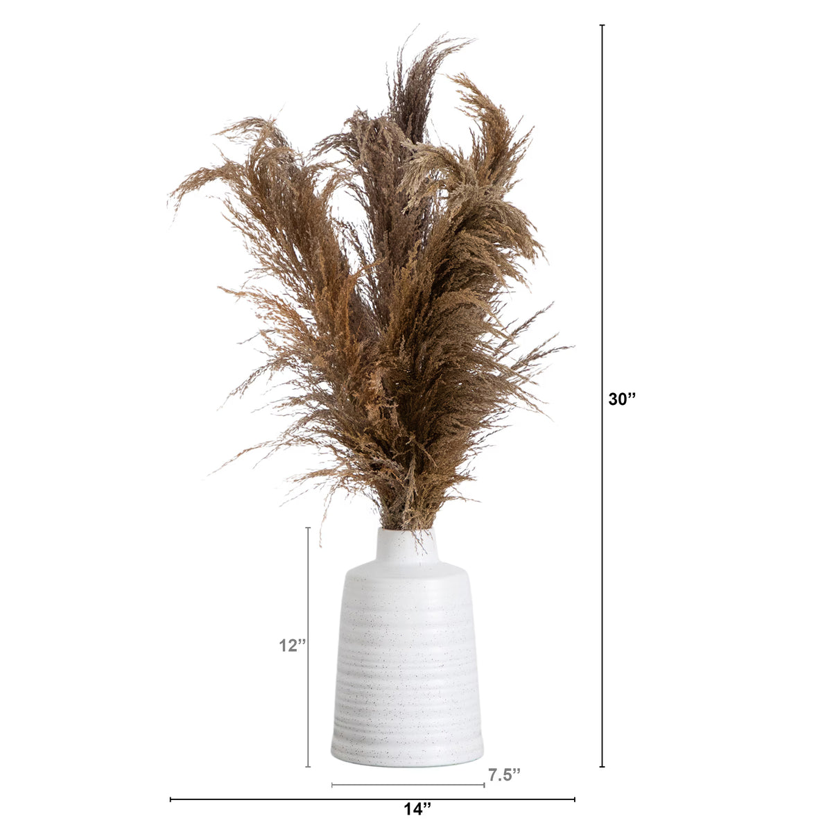 The Tulum 30" Preserved Natural Pampas Plume Arrangement