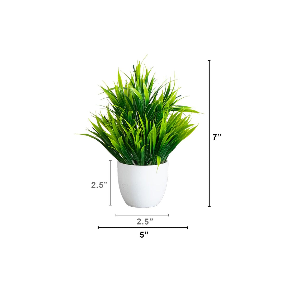 The Alpine Mixed Botanical Trio in Matte Vessels (Set of 3)