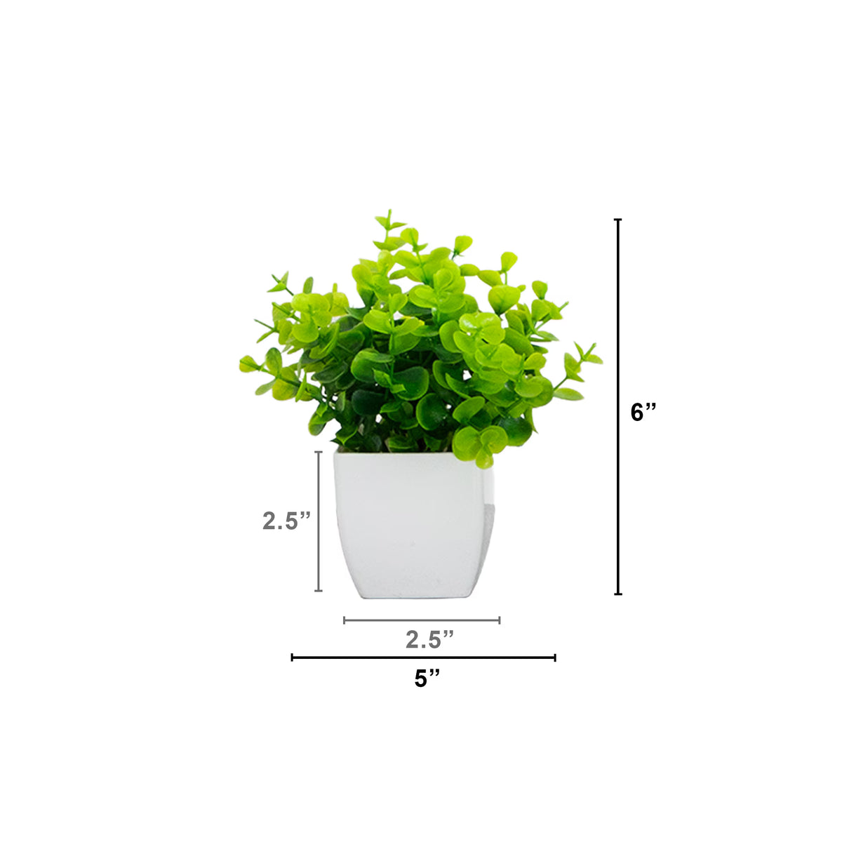 The Tribeca Modern Botanical Quartet in Matte White (Set of 4)