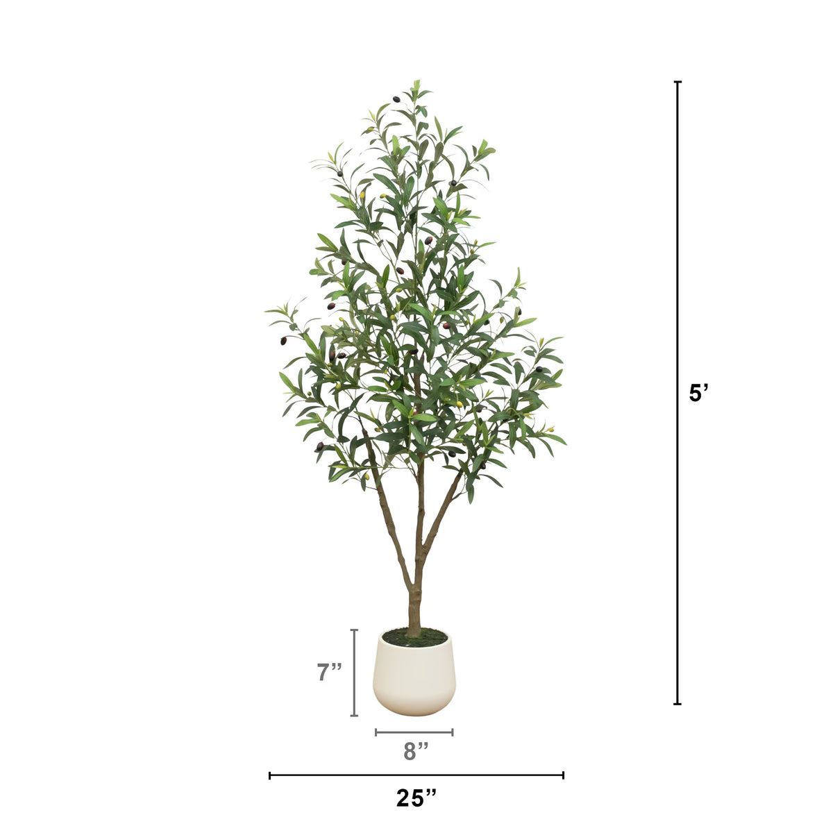 The Verona 5-Foot Olive Botanical with Modern Fluted Vessel