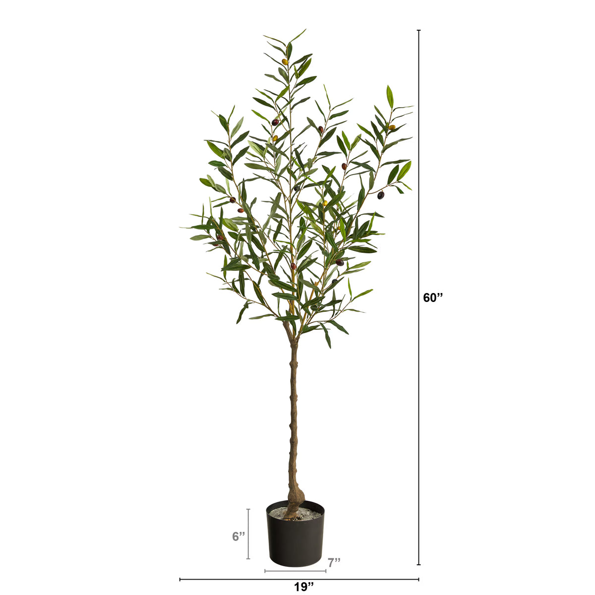 The Verona 5-Foot Heritage Olive Botanical