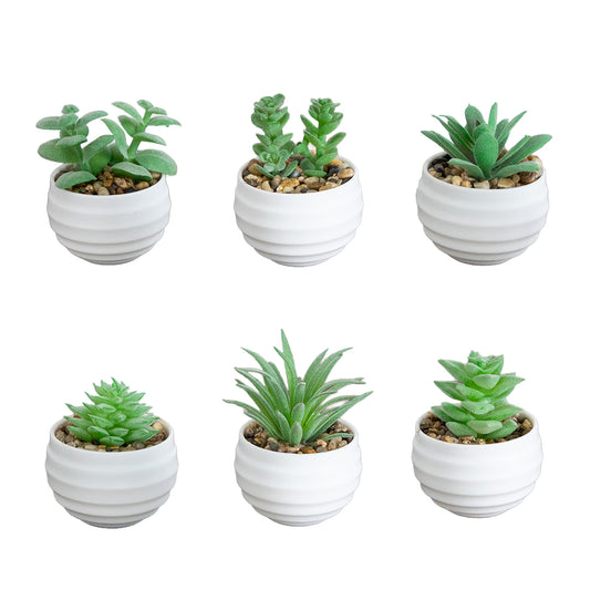 The Carmel Miniature Botanical Set in Matte Ceramic (Set of 6)
