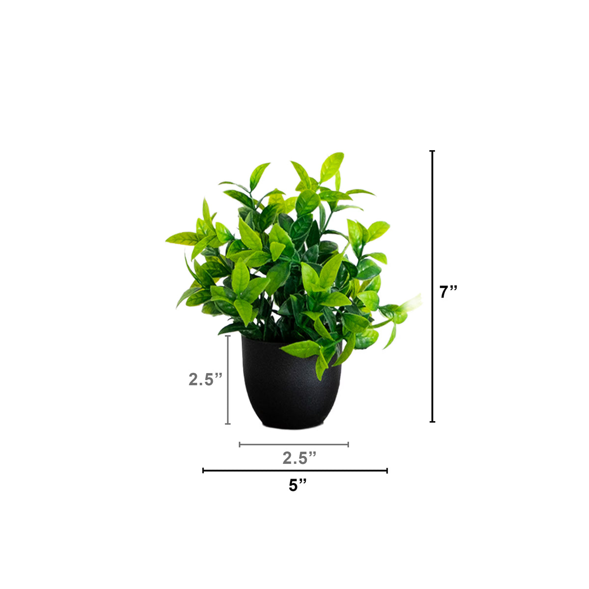 The Tribeca Modern Botanical Quartet in Matte Black (Set of 4)