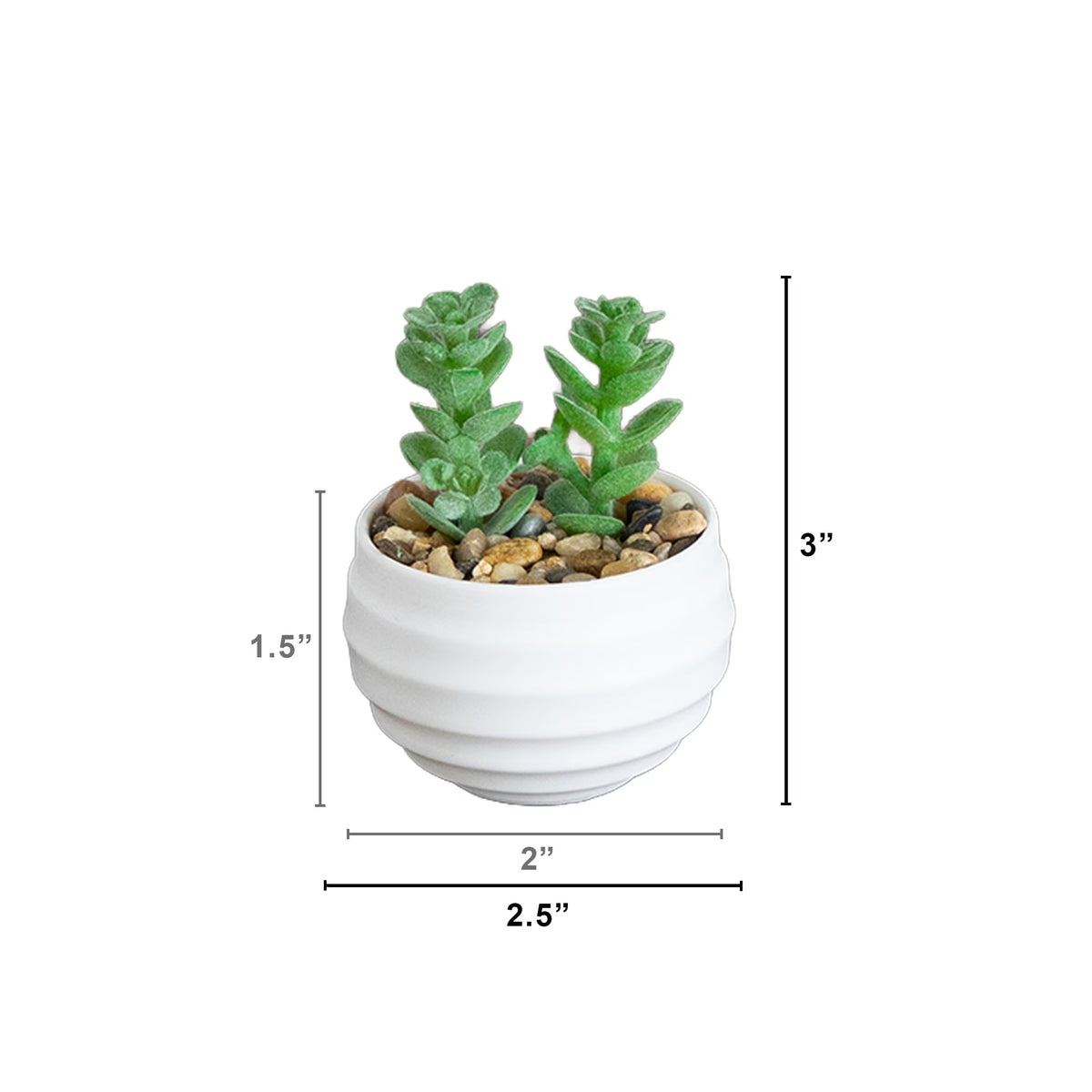 The Carmel Miniature Botanical Set in Matte Ceramic (Set of 6)