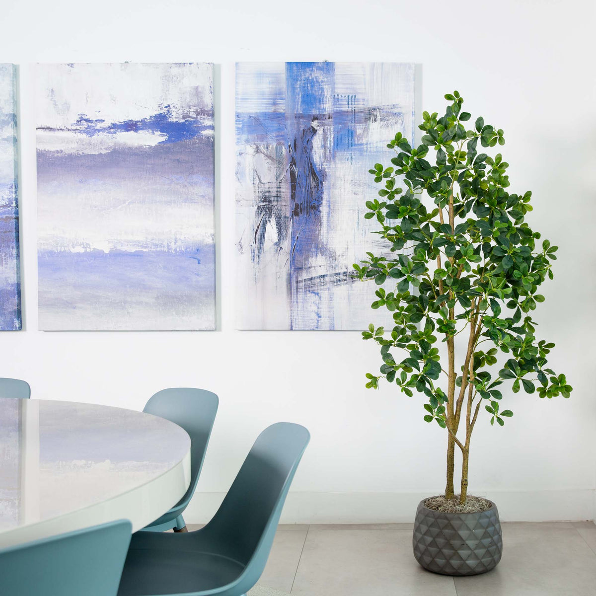 The Capri 6-Foot Architectural Black Olive Tree