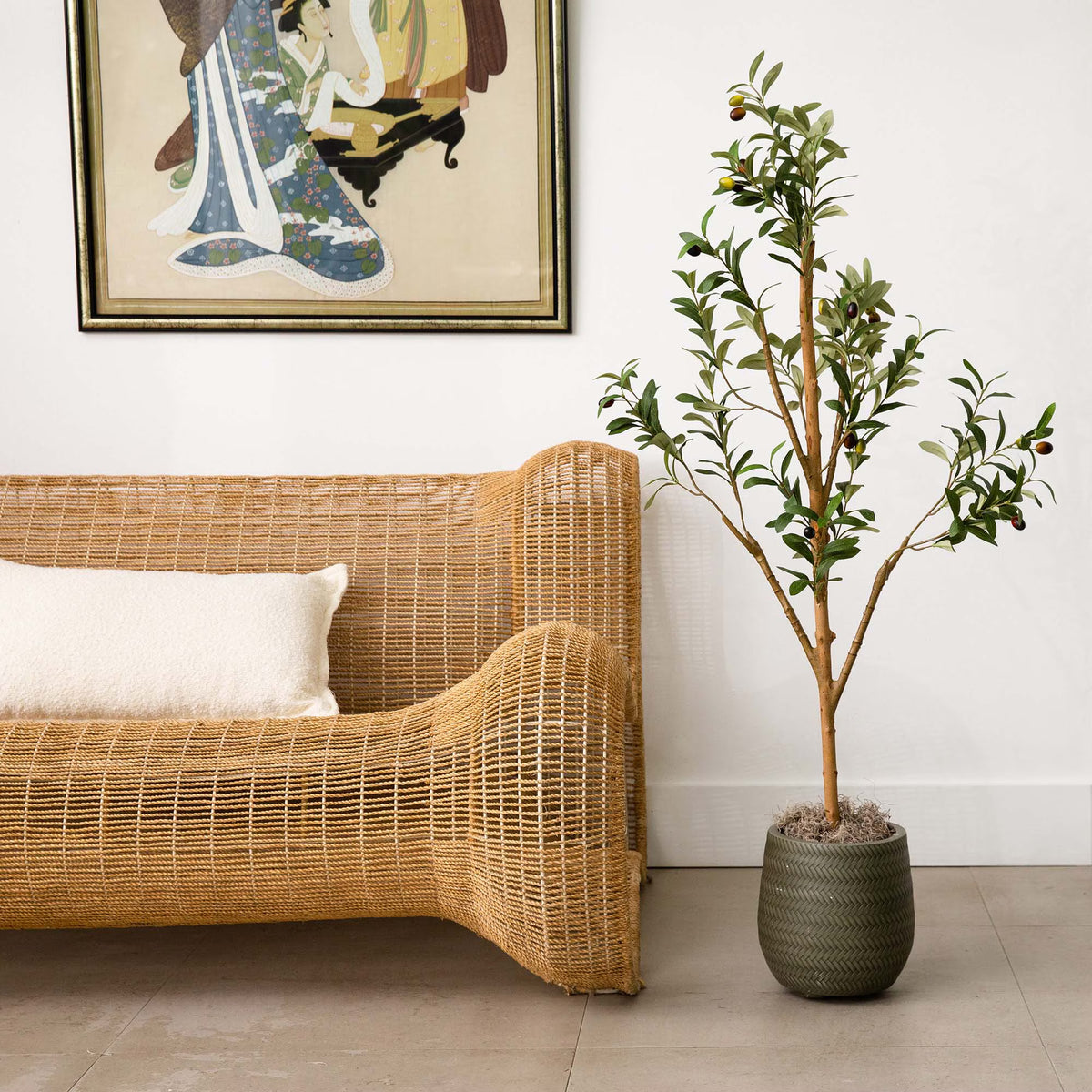 The Tuscan 4-Foot Natural-Trunk Olive Tree