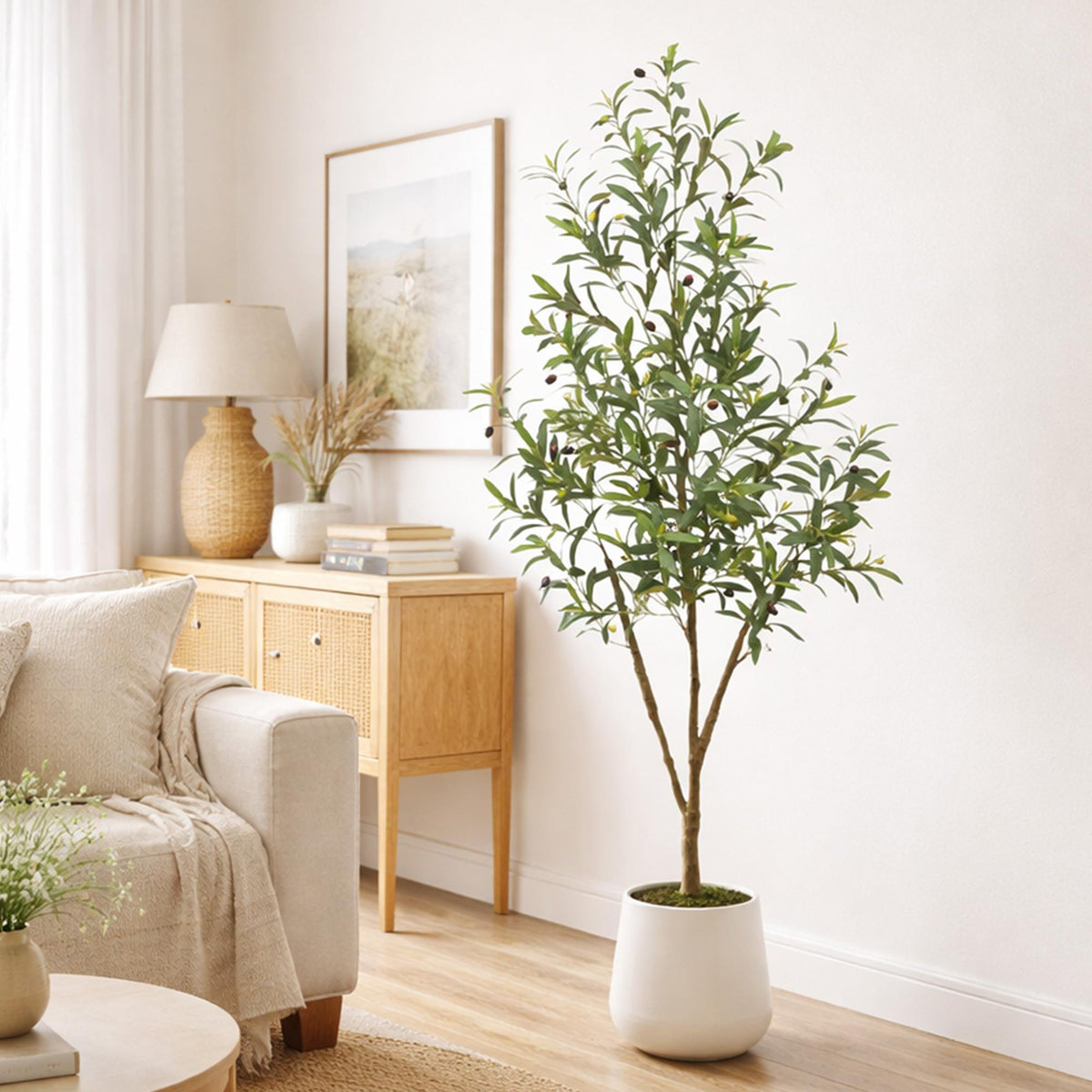 The Verona 5-Foot Olive Botanical with Modern Fluted Vessel