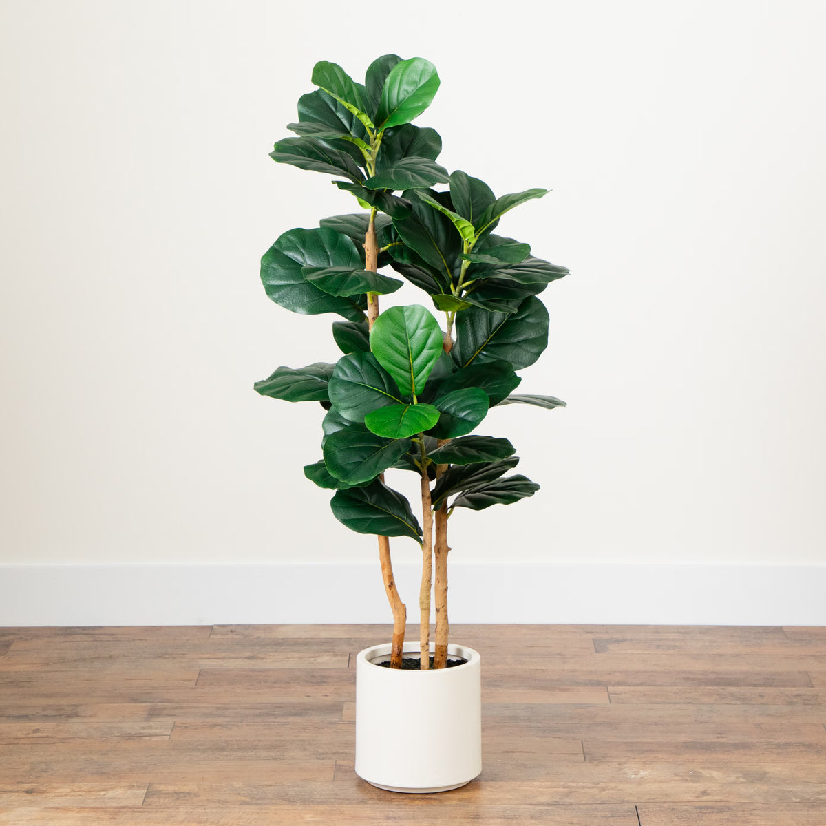 The Highland 4-Foot Sculptural Fiddle Leaf Tree
