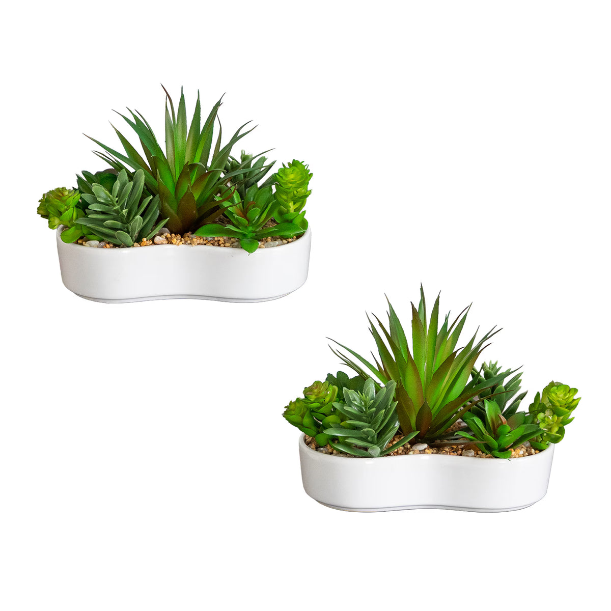 The Del Mar Sculptural Succulent Garden (Set of 2)