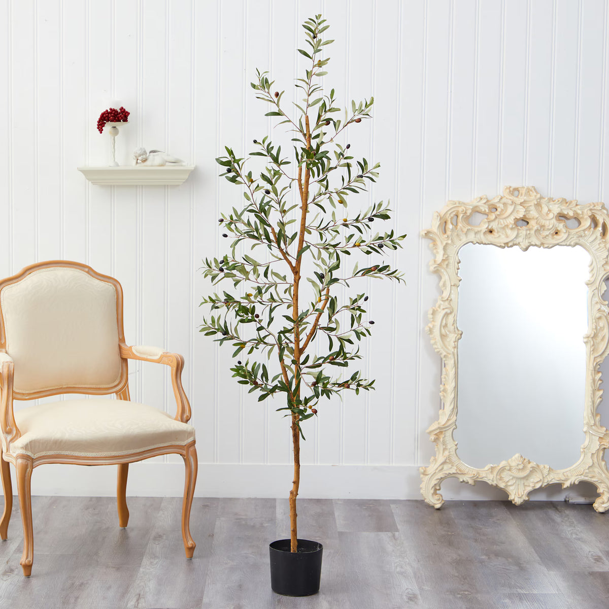 The Verona 5.5-Foot Dense Canopy Olive Botanical