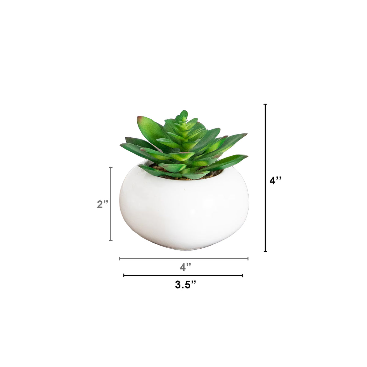 The Solana Potted Succulent Trio in Matte Ceramic (Set of 3)