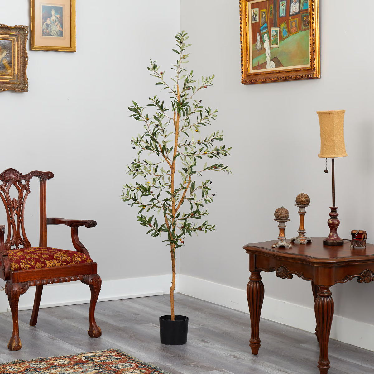The Verona 5.5-Foot Dense Canopy Olive Botanical
