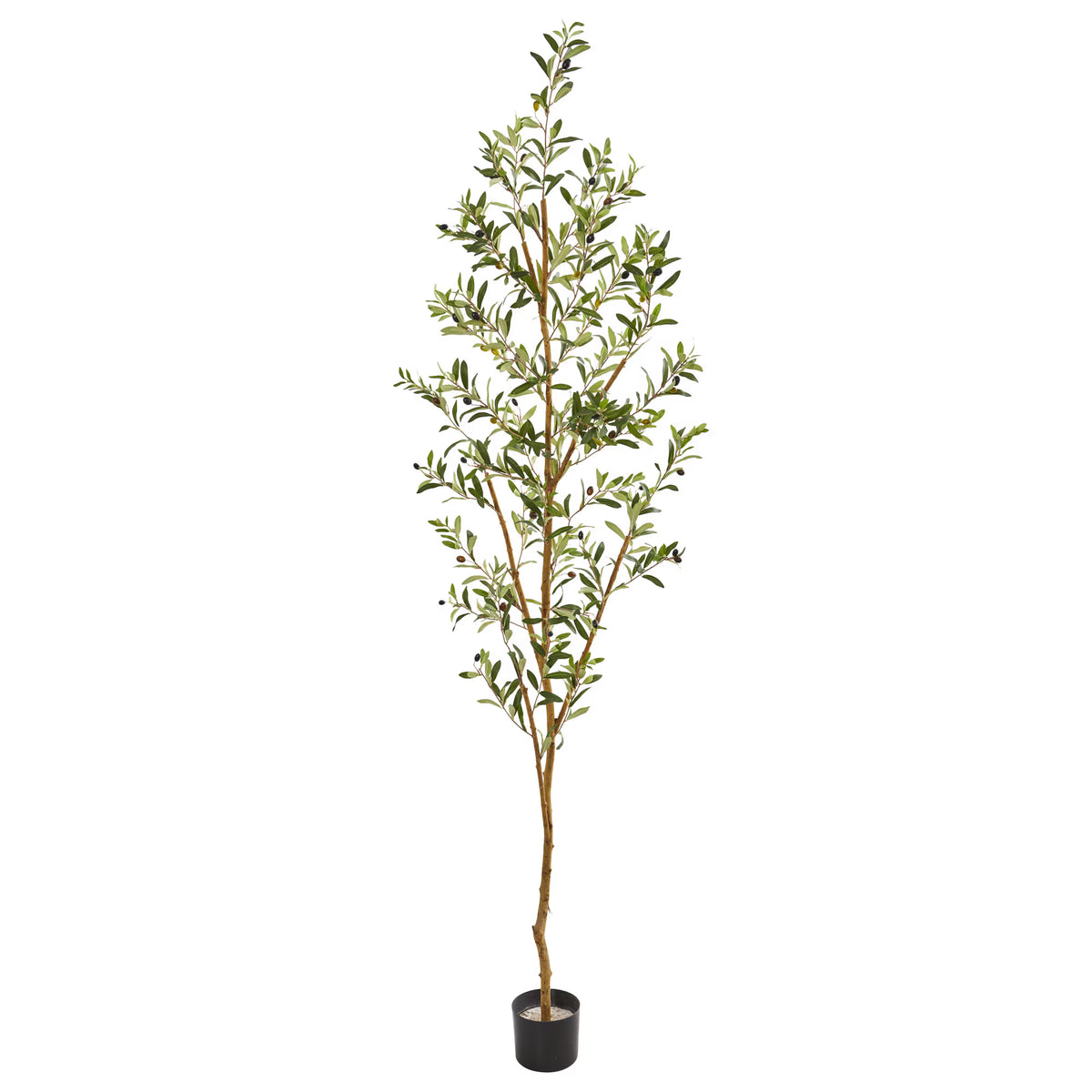 The Verona 82" Grand Estate Olive Tree