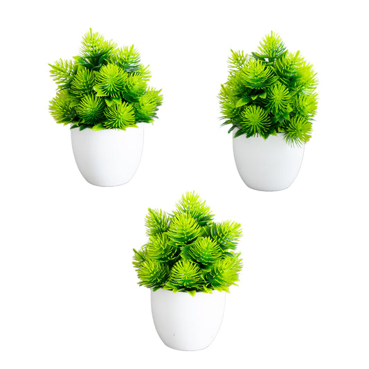 The Sedona Potted Desert Botanical Trio (Set of 3)