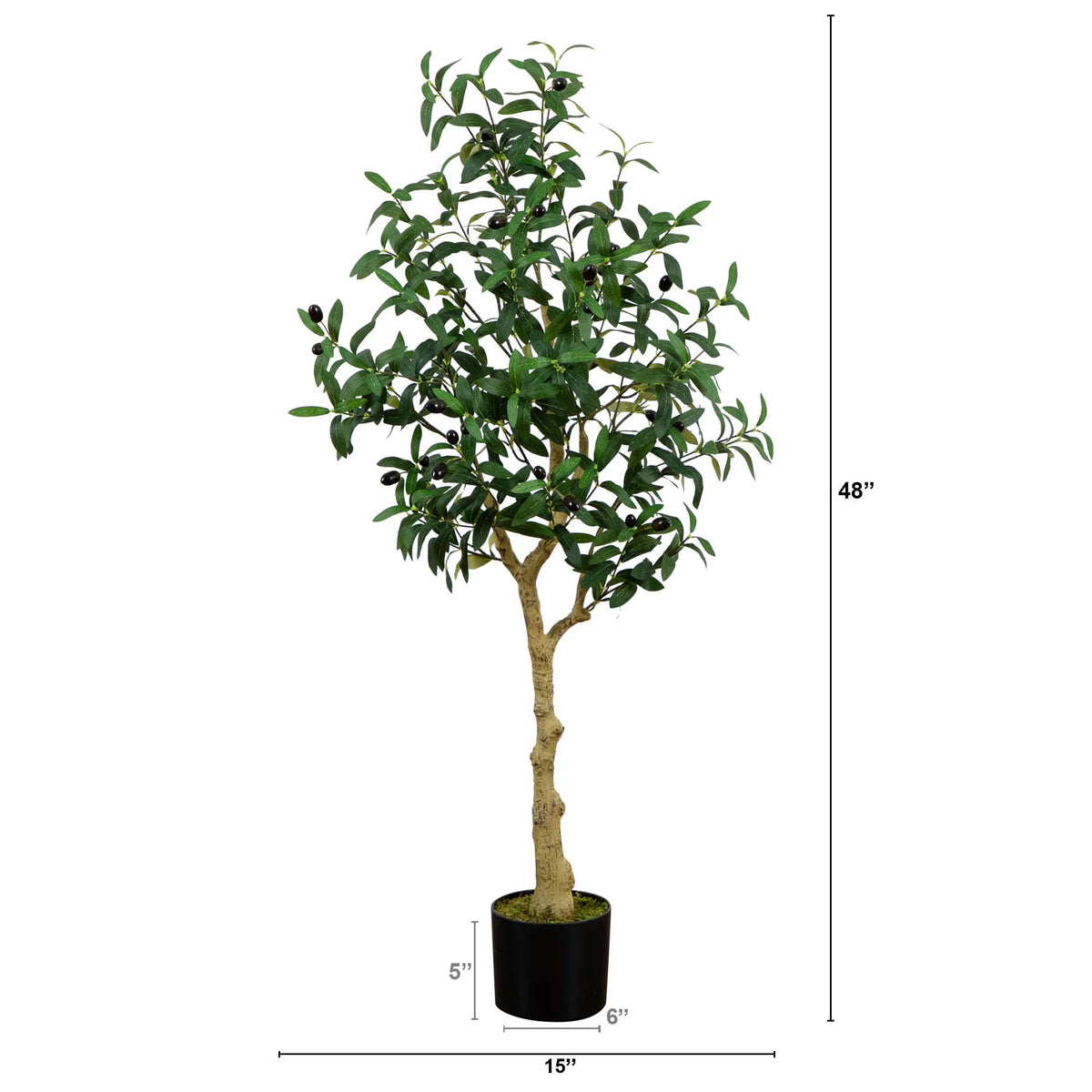The Verona 4-Foot European Olive Accent Tree