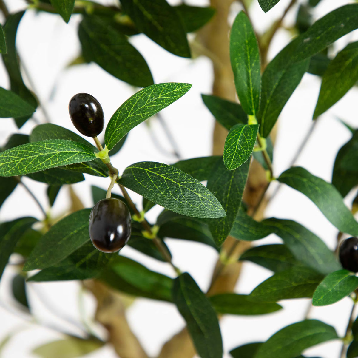The Verona 4-Foot European Olive Accent Tree