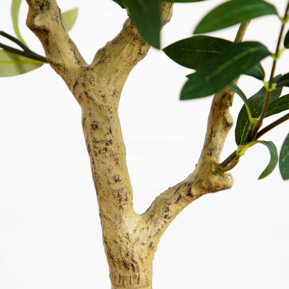 The Verona 4-Foot European Olive Accent Tree